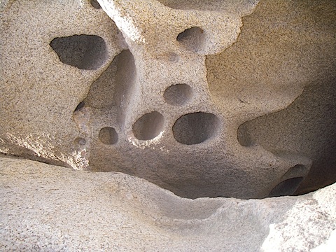 IMGP0010.JPG